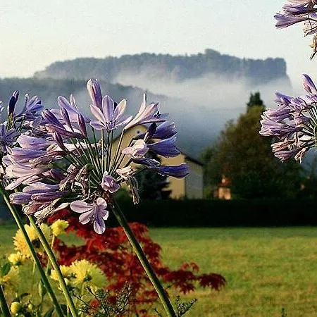 Froede *